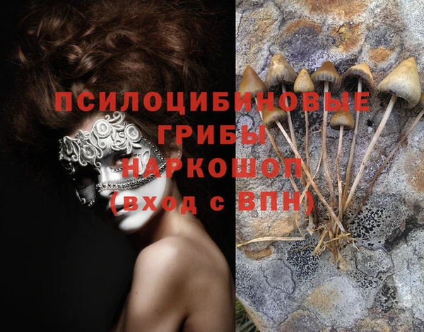 молекула духа Арсеньев