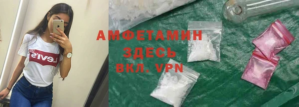 молекула духа Арсеньев