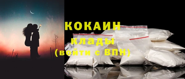 молекула духа Арсеньев