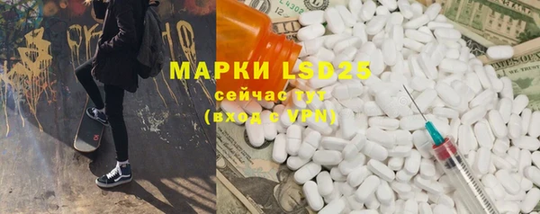 молекула духа Арсеньев