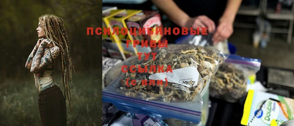 молекула духа Арсеньев
