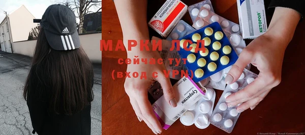 молекула духа Арсеньев
